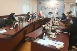 جلسه شورای مدیران معاونت درمان دانشگاه علوم پزشکی تهران